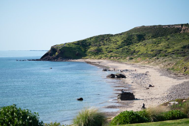 Hallett Cove Foreshore - Hallett Cove & Districts Lions Club